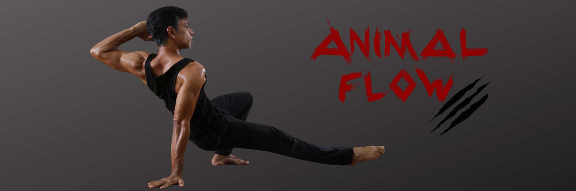 Animal Flow Cosmic Fit